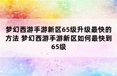 梦幻西游手游新区65级升级最快的方法 梦幻西游手游新区如何最快到65级